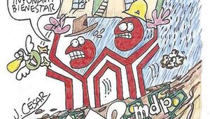 LOS CARTONES