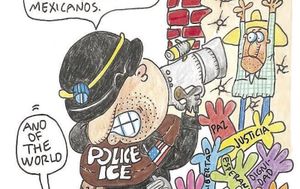 LOS CARTONES