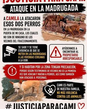 ¡PIDEN JUSTICIA PARA CAMI!