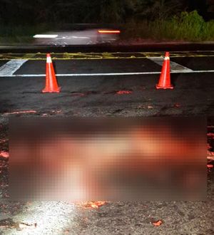 ¡ADULTO MAYOR ACABA DESTROZADO POR TRÁILERES!