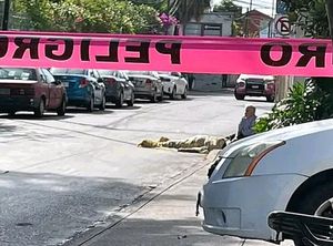 ¡MUERE ABUELITA ATROPELLADA!