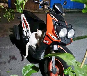 ¡LADRONES LE ROBARON LA MOTOCICLETA CUANDO HACÍA “LA MEME”!