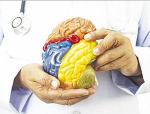 ¡ALERTA EL IMSS VERACRUZ NORTE SOBRE HÁBITOS QUE DAÑAN EL CEREBRO!
