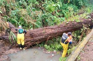 ¡ALERTA MÁXIMA! - Y SIGUE LLOVIENDO