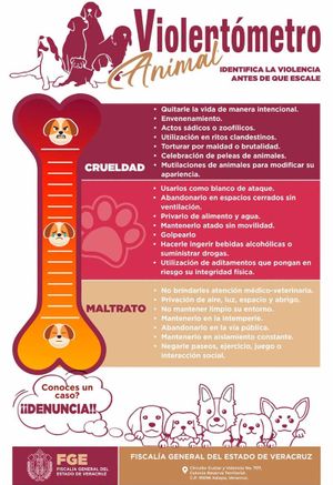 ¡SACAN VIOLENTÓMETRO! - *Incluye multas y penas de cárcel, va en serio