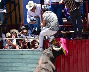 ¡XIQUEÑADA ROJA! - CORNEADOS Y GOLPEADOS