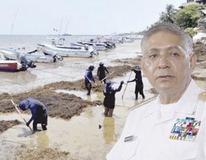 ¡BLINDAN MÁS DE 100 PLAYAS DEL SARGAZO!