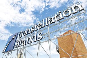 ¡INVESTIGA CONSTELLATION BRANDS DENUNCIA DE PROBABLE EXTORSIÓN! - *Realizan una revisión interna tras señalamientos de empresarios para recuperar maquinaria en Veracruz