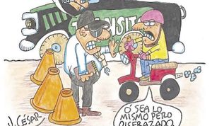 LOS CARTONES