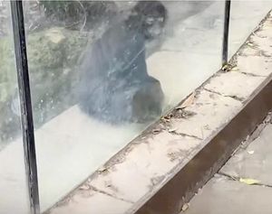 ¡EXHIBEN ABANDONO EN EL ZOOLÓGICO DE CHAPULTEPEC!