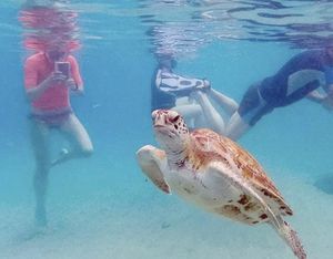 ¡LA TIERRA HIERVE CON RÉCORD DE TEMPERATURA DEL AGUA!