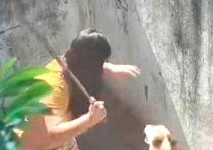 ¡VINCULAN A PROCESO A PAREJA POR CRUELDAD EN CONTRA DE ANIMALES!