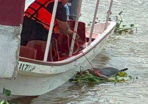 ¡EL CUERPO QUE FLOTABA EN EL RÍO COATZACOALCOS ES DEL JOVEN BRYAN ALEXANDER DE 18 AÑOS!