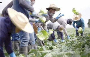 ¡LIBERIA ACEPTA RECIBIR A MIL 200 DEPORTADOS DE ESTADOS UNIDOS!