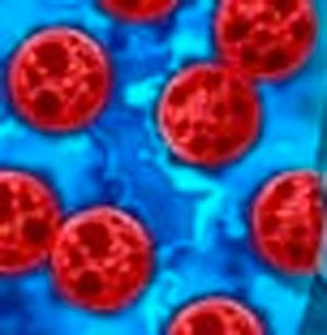 ¡YA HAY CYCLOSPORIASIS! - AY NANITAS