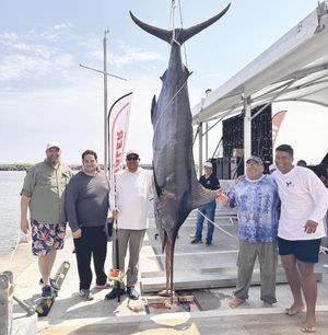 ¡CAPTURAN MARLIN DE 181.6 KILOS!