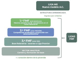 ¡NUEVO MODELO DEPORTIVO DE LA FMF “SEPULTA” EL REGRESO DEPORTIVO DEL ASCENSO!