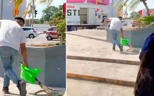 ¡RESCATAN IGUANA VERDE! - EN TUXPAN