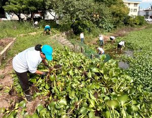 ¡SACAN 100 TONELADAS DE BASURA DE TRES LAGUNAS!