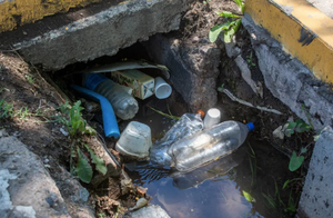 ¡SIGUE LA GUERRA CONTRA EL DENGUE!