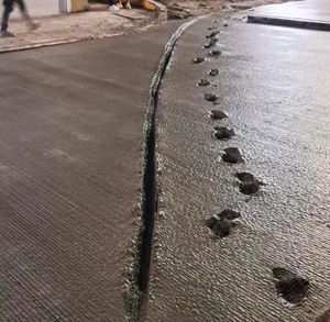 ¡VANDALIZAN VÍA MUERTA!