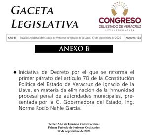 ¡QUITARÁN EL FUERO! - A ALCALDES Y SÍNDICOS...