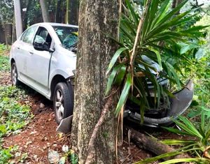 ¡PIERDEN LA VIDA MUJER Y SU PERRO ARROLLADOS EN FORTÍN!