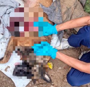 ¡MATAN DE UN BALAZO AL PERRO “KAISER”!