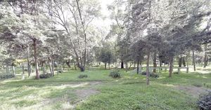 ¡RECHAZAN PROYECTO MILITAR EN BOSQUE DE CHAPULTEPEC!