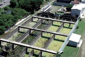 ¡SE PIERDEN 62.2 MILLONES DE PESOS POR CULPA DE MAS! - LO QUE FALTABA