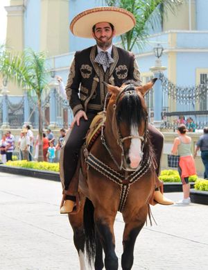 ¡DAN DE ALTA A RAFA MANSUR!