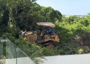 ¡DENUNCIAN DEVASTACIÓN! - EN LA RIVIERA VERACRUZANA