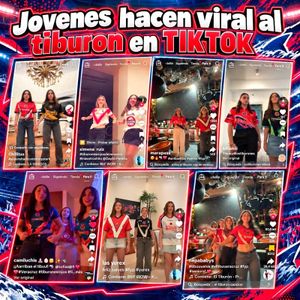 ¡NO LE PARAN FANS DE TIBURONES!