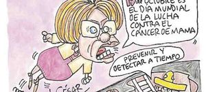 LOS CARTONES