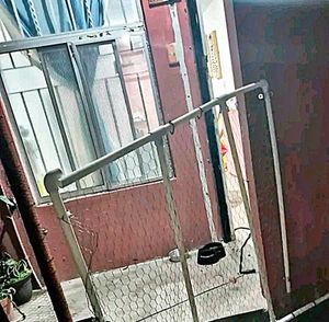 ¡PERRO PITBULL ATACA A FAMILIA Y MATÓ UN GATO!