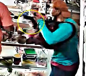 ¡VÁNDALOS VIOLENTOS ATRACARON NEGOCIO EN EL SUCHIL!