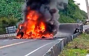 ¡ARDIÓ TRACTOCAMIÓN CARGADO CON GANADO!