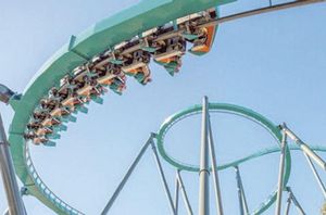 ¡MUERE HOMBRE AL CAER DE MONTAÑA RUSA!