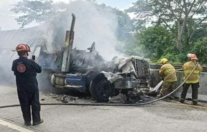 ¡ARDE CAMIÓN CON 30 TONELADAS DE PIÑAS!
