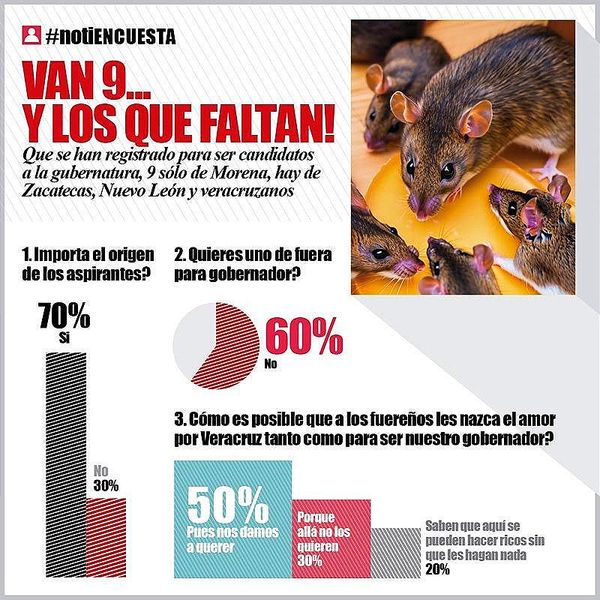 LA ENCUESTA