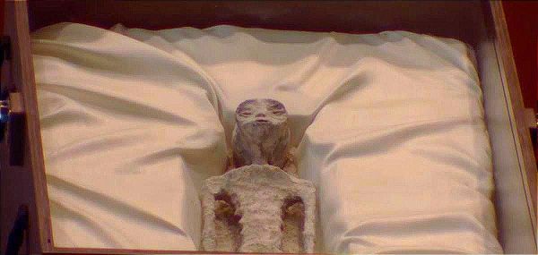 MAUSSAN LES LLEVA DOS ALIENS Y AL CHEKO A LOS DIPUTADOS!