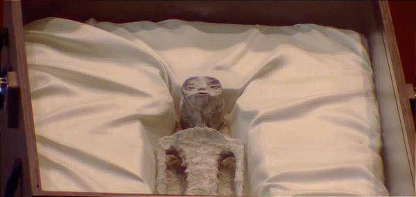 MAUSSAN LES LLEVA DOS ALIENS Y AL CHEKO A LOS DIPUTADOS!