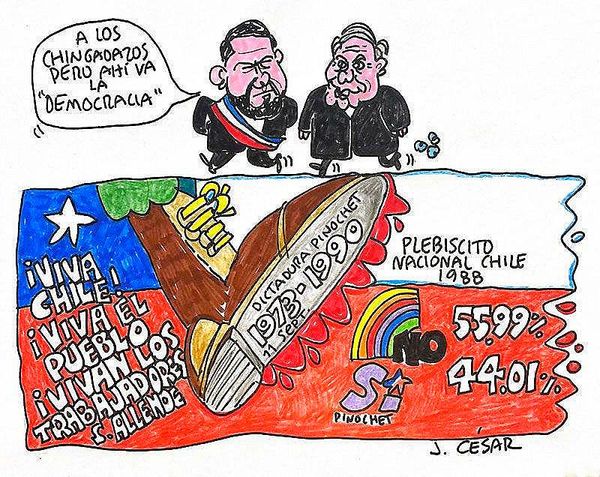 LOS CARTONES