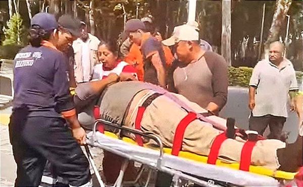 ¡LE CAE TRONCO EN LA CABEZA A TRABAJADOR DE PARQUES Y JARDINES! -Podando en la Alameda de Huatusco