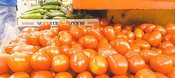 ¡TOMATES SE DISPARAN!