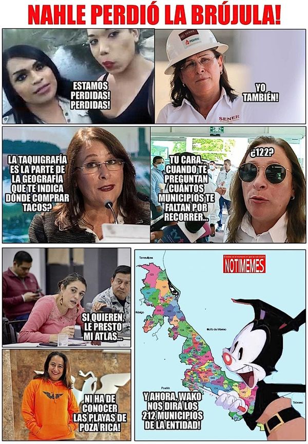 NOTI-MEME - NHALE PERDIÓ LA BRÚJULA!