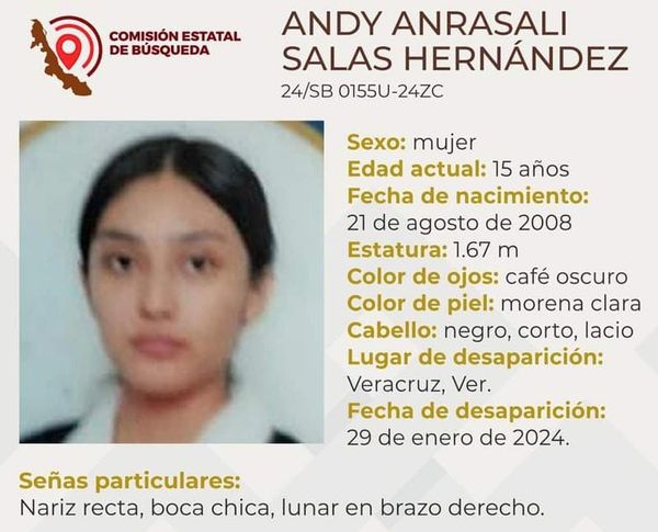 ¡DESAPARECEN JOVENCITAS EN EL PUERTO DE VERACRUZ!