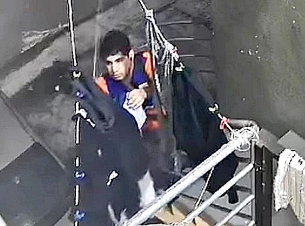 ¡LE ROBA LOS CHONES A LA VECINA!