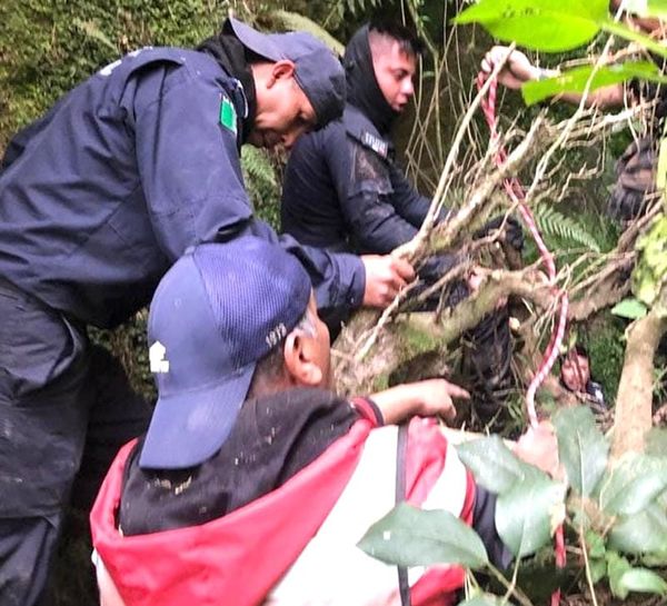 ¡POLICÍA Y NARKIKIRI AL BARRANCO! -*EN LA PERSECUCIÓN SE FUERON A LA MALEZA Y EN EL FORCEJEO AL BARRANCO...