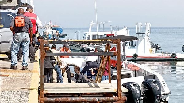 ¡SE MATA EN LA ISLA DE SACRIFICIOS! -Laboraba en el área de mantenimiento, y decidió subirse a podar un árbol